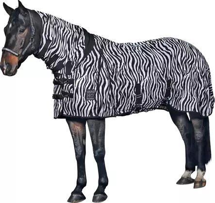 Zebra hyönteisloimi vatsaläpällä - Hyönteisloimet - hg40372 - 1