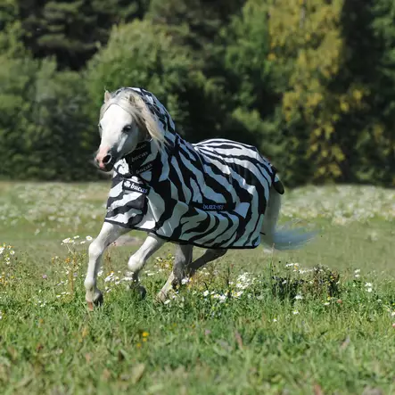 Bucas Buzz-Off Zebra hyönteisloimi FN - Hyönteisloimet - 7044 - 2