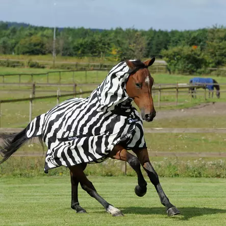 Bucas Buzz-Off Zebra hyönteisloimi FN - Hyönteisloimet - 7044 - 1