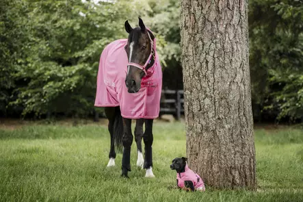 Bucas Freedom hyönteisloimi aurora pink - Hyönteisloimet - bu43445-75 - 1