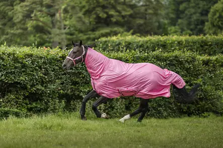 Bucas Freedom ponin hyönteisloimi pink - Hyönteisloimet - buZ43405-26 - 1