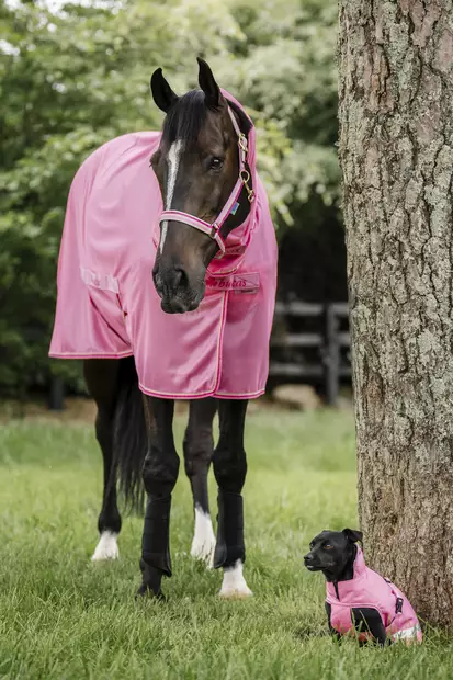Bucas Freedom ponin hyönteisloimi pink - Hyönteisloimet - buZ43405-26 - 2