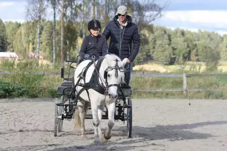 French Collar Luxe Single shetland - Rintaremmit & Collarit - HD7036 - 2