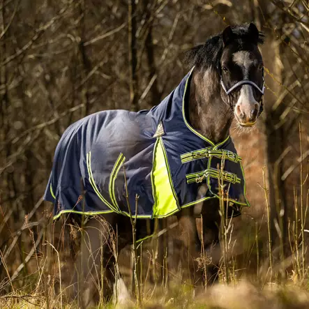 Globus ponin ulkotoppaloimi Tarzan 200g - Poniloimet - gloU00367 - 1