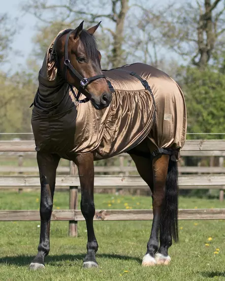 Ihottumaloimi QHP Ekseema ruskea - Hyönteisloimet - qhp6060-brown - 3