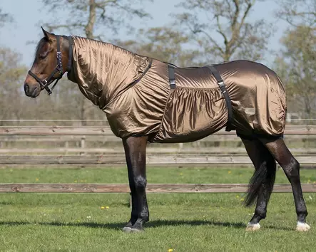 Ihottumaloimi QHP Ekseema ruskea - Hyönteisloimet - qhp6060-brown - 2