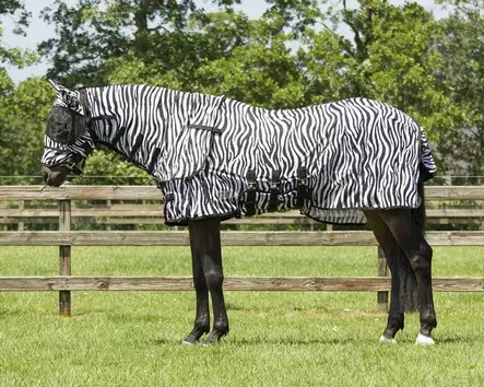 QHP Hyönteisloimi Zebra kaulapala&huppu - Hyönteisloimet - qhp6013summer - 3