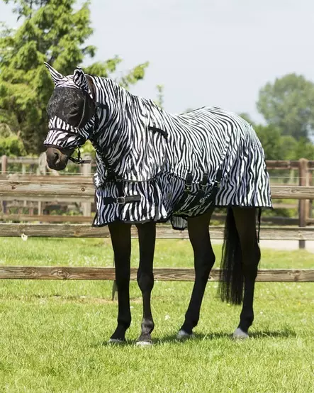 QHP Hyönteisloimi Zebra kaulapala&huppu - Hyönteisloimet - qhp6013summer - 4